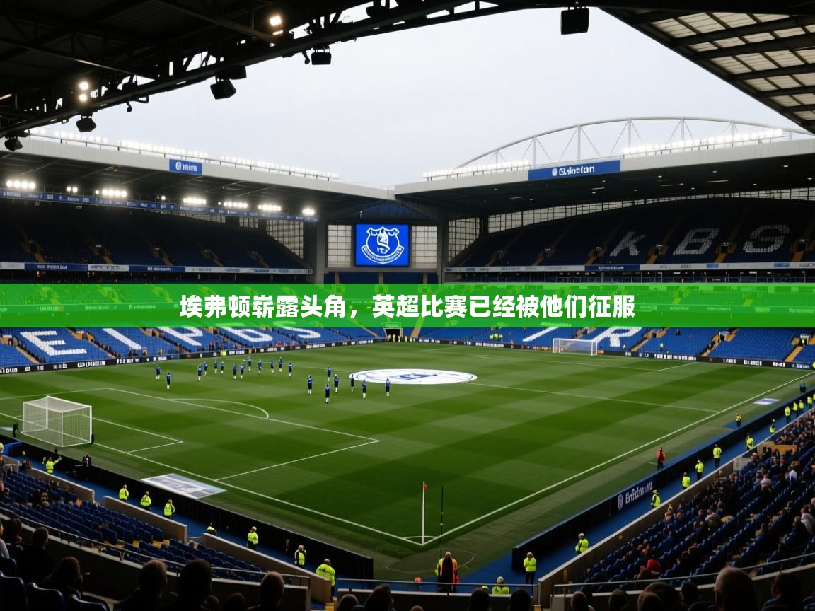 埃弗顿崭露头角，英超比赛已经被他们征服  第2张