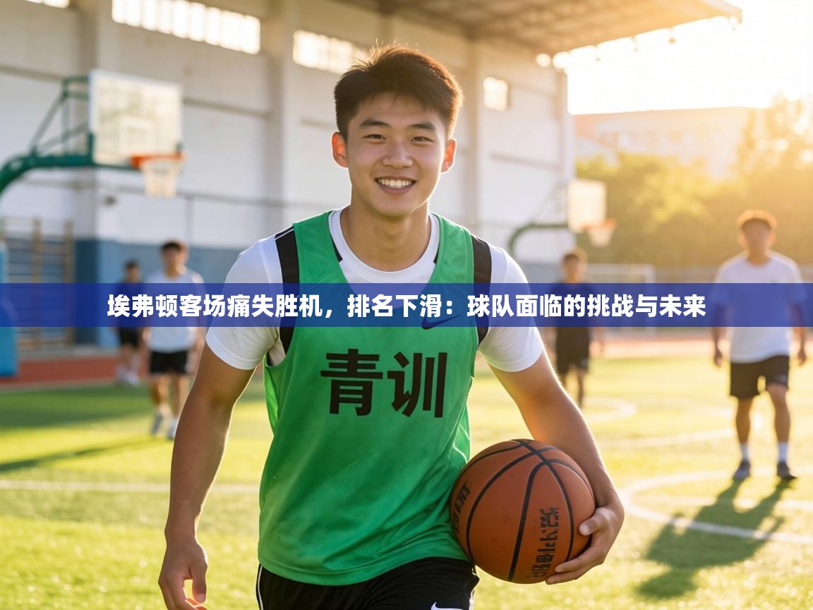 埃弗顿客场痛失胜机,排名下滑:球队面临的挑战与未来 第2张